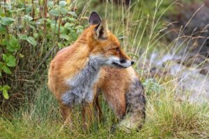 睡眠薬をやめたいときに相談すべきポイントは？