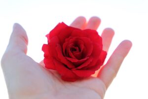 自殺したい気持ちを持つあなたが相談できる場所はどこ？