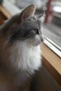 受験の悩みを解消するためのLINE相談で得られる安心とは？