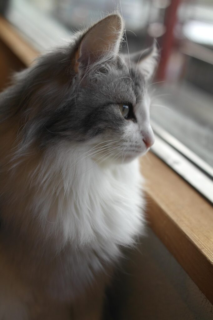 受験の悩みを解消するためのLINE相談で得られる安心とは？