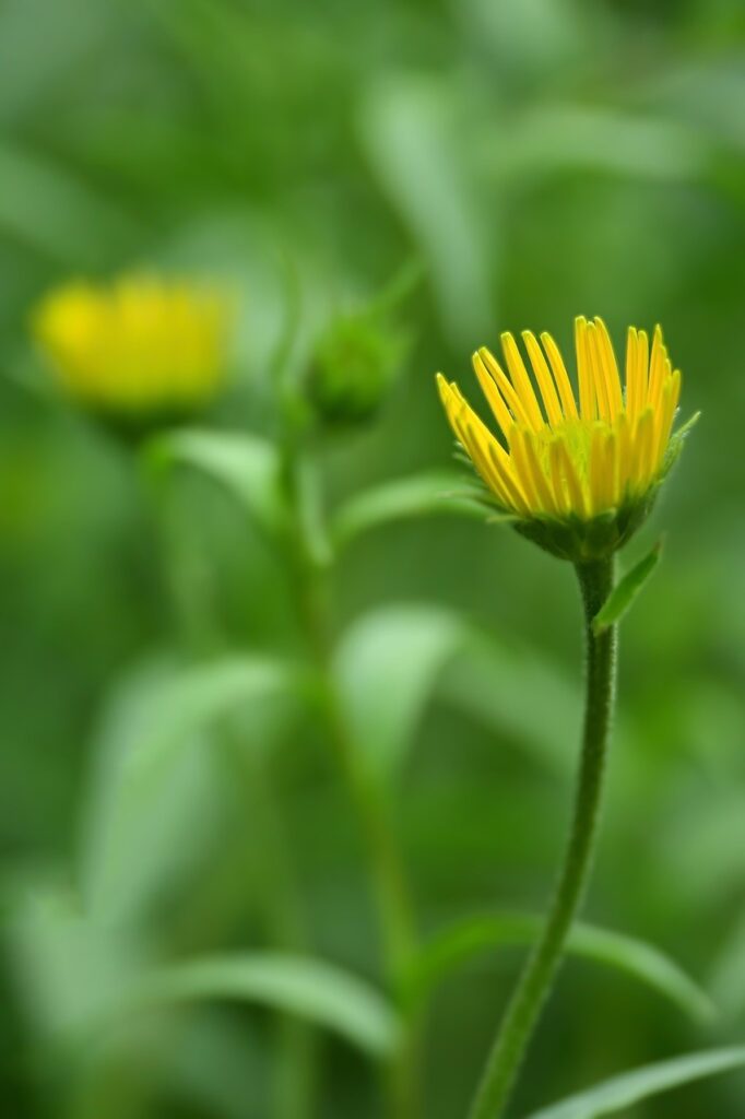 人付き合いの悩みを解消するためのLINE相談の活用法は？