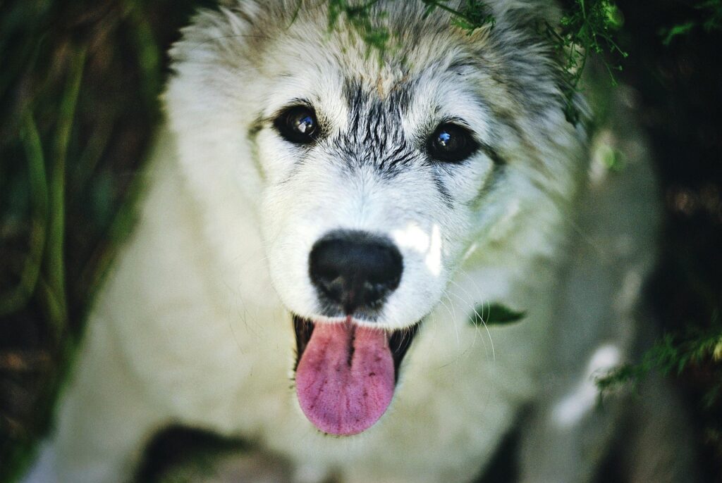 とにかくつらい。この気持ちをどう手放せばいい？