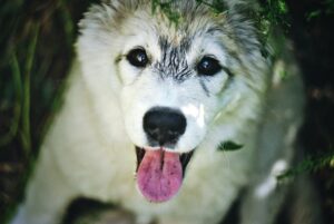 とにかくつらい。この気持ちをどう手放せばいい？