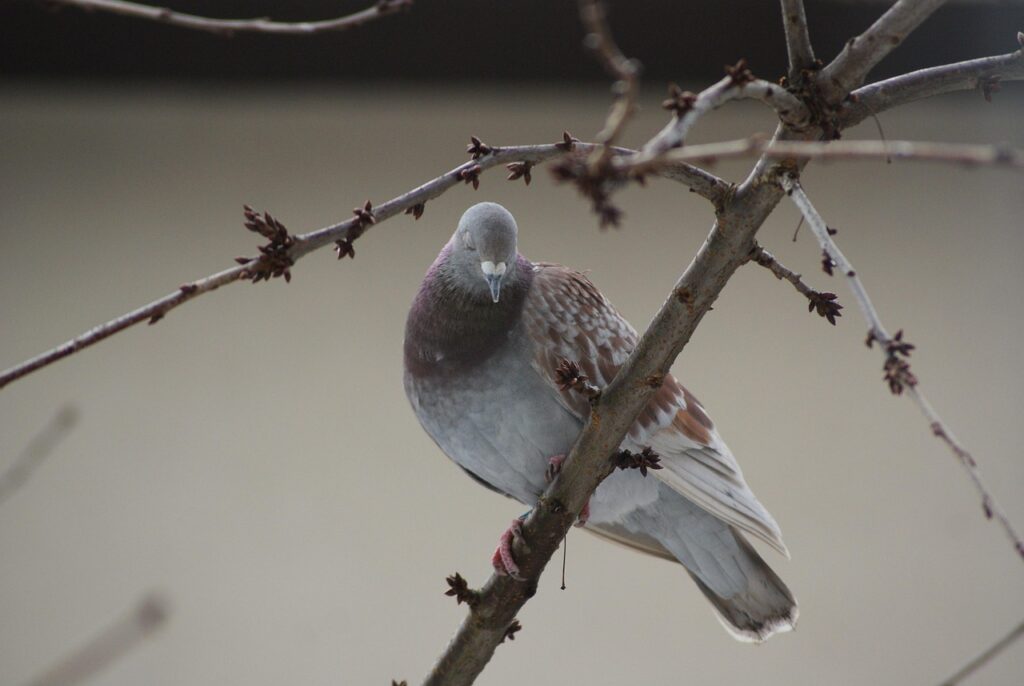 告白するならいつがいい？最適なタイミングとは？