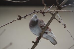 告白するならいつがいい？最適なタイミングとは？