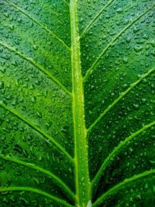 この時期は無理せず過ごすべきか、健康に影響はあるの？