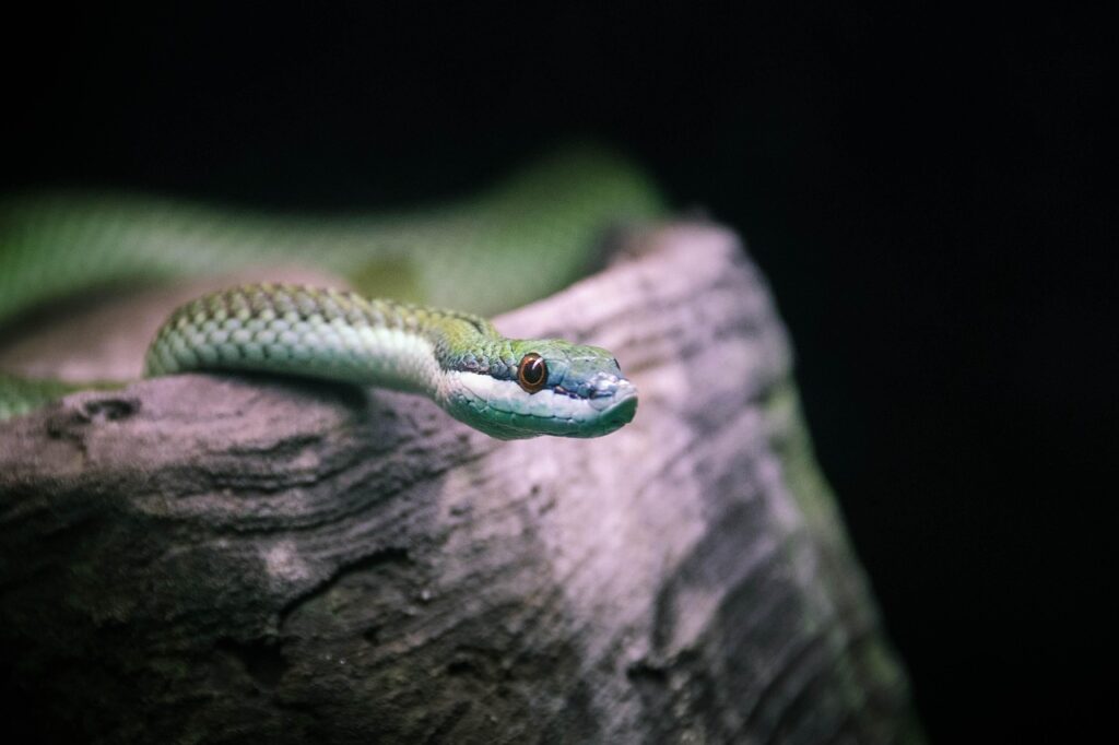 なんとなく落ち着かない理由が知りたい時に試すべき対処法は？