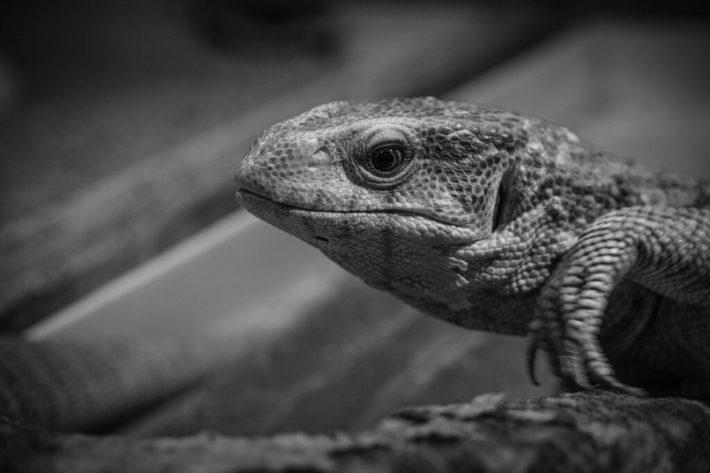 タイミングを逃すと後悔する行動とは何か？