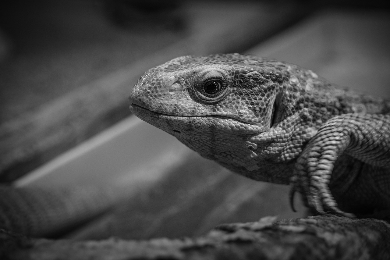 タイミングを逃すと後悔する行動とは何か？