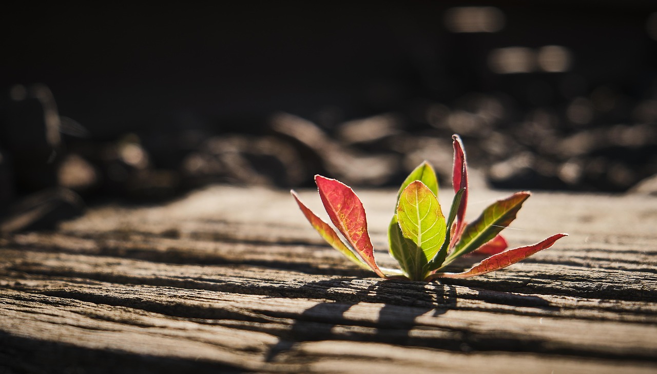 人生の課題に気づくヒントがほしい時に試すべき方法は？