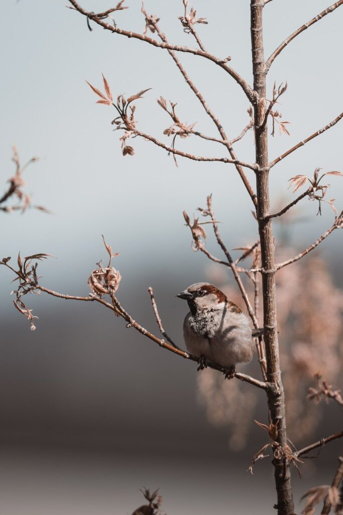 今の環境は自分に合っているかどうかを見極める方法は？