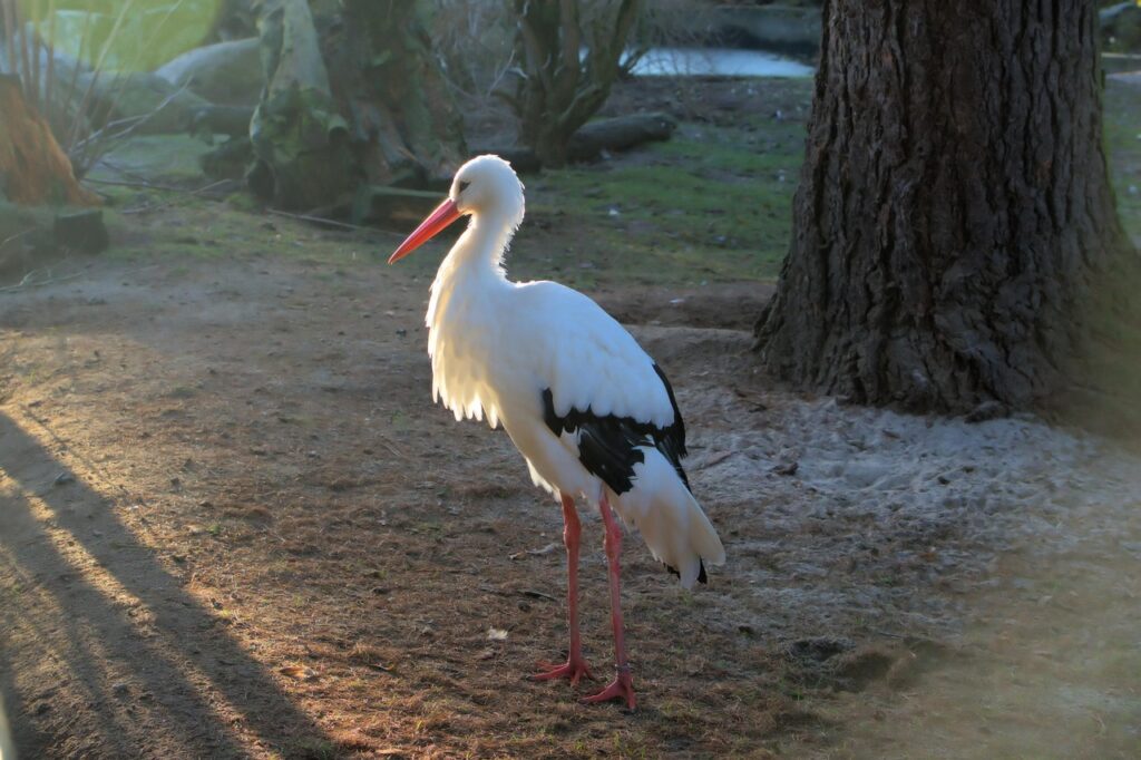 不妊治療をやめたいときの相談先はどこですか？