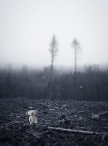 女性の痴漢被害に関する相談はどこにすればいい？