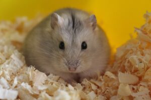 女性に誰にもバレない相談の方法とは？