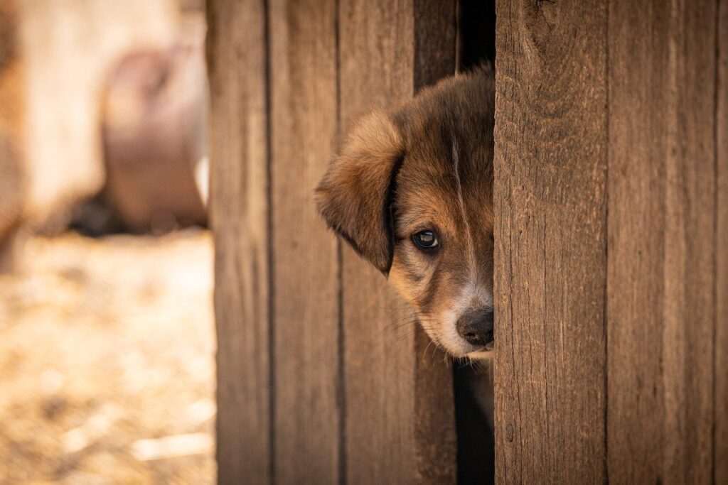 女性一人で抱える悩みとは？